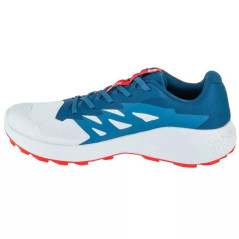 Salomon Alphaglide Ballad M L47724300 Running Shoes