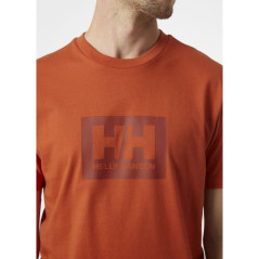 Helly Hansen Box TM Marškinėliai 53285 179