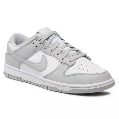 Nike Dunk Low Retro M DD1391-103 shoes