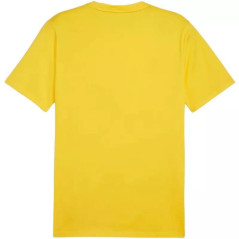 Marškinėliai Puma Team Goal Casuals Tee M 658615 07