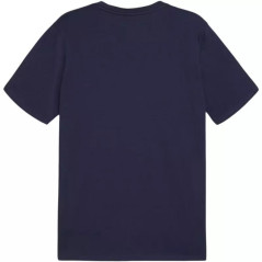 Marškinėliai Puma Team Goal Casuals Tee M 658615 06