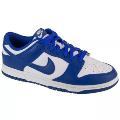 Nike Dunk Low Retro M DV0833-103 shoes