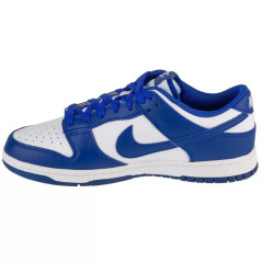Nike Dunk Low Retro M DV0833-103 shoes