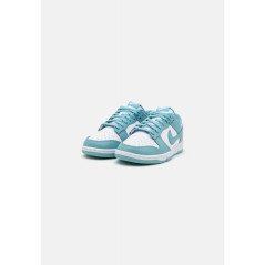 Nike Dunk Low Retro M DV0833-106 shoes
