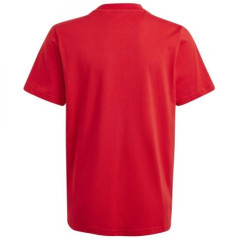 T-shirt adidas Big Logo Tee Jr IJ6262