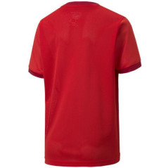 Puma teamGOAL 23 Jersey Jr T-shirt 704160 01