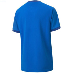 Puma teamGOAL 23 Jersey Jr T-shirt 704160 02
