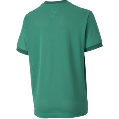 Puma teamGOAL 23 Jersey Jr T-shirt 704160 05