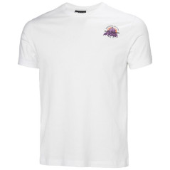 Helly Hansen Core Graphic T 2.0 M marškinėliai 54599 002