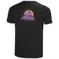 Helly Hansen Core Graphic T 2.0 M marškinėliai 54599 992