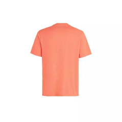 O'Neill Cali Original marškinėliai M 92800613165