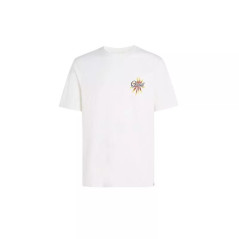 O'Neill "Beach Graphic" marškinėliai vyrams M 92800613984
